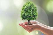 چه سبزم How Green I Am