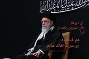 در حریمِ ولایت، تا عرشِ شهادت