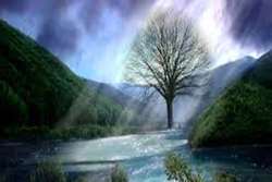 حضور بی‌حضوری؛ بازتاب جان در آینه باران و بهار Presence Beyond Presence: The Soul’s Reflection in Rain and Spring